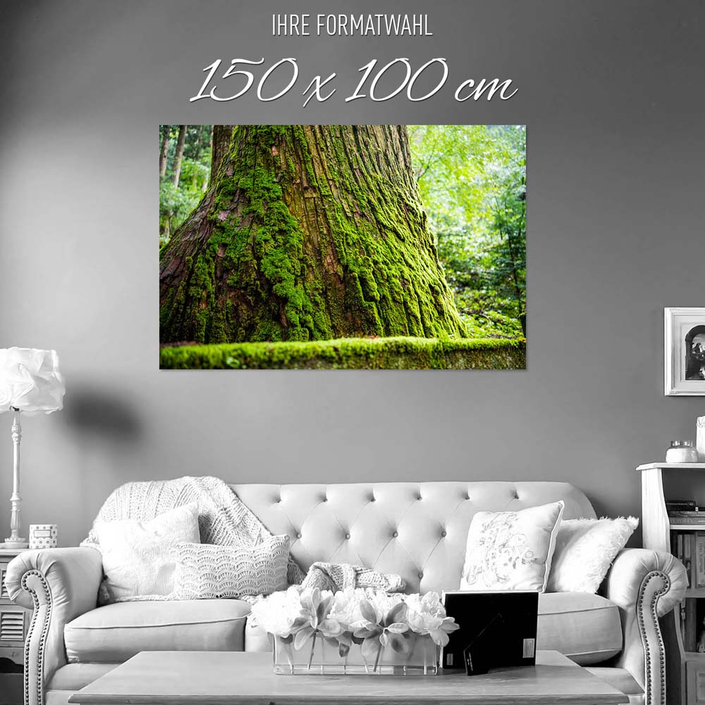 Wald & Baum Moos als Poster 150x100cm