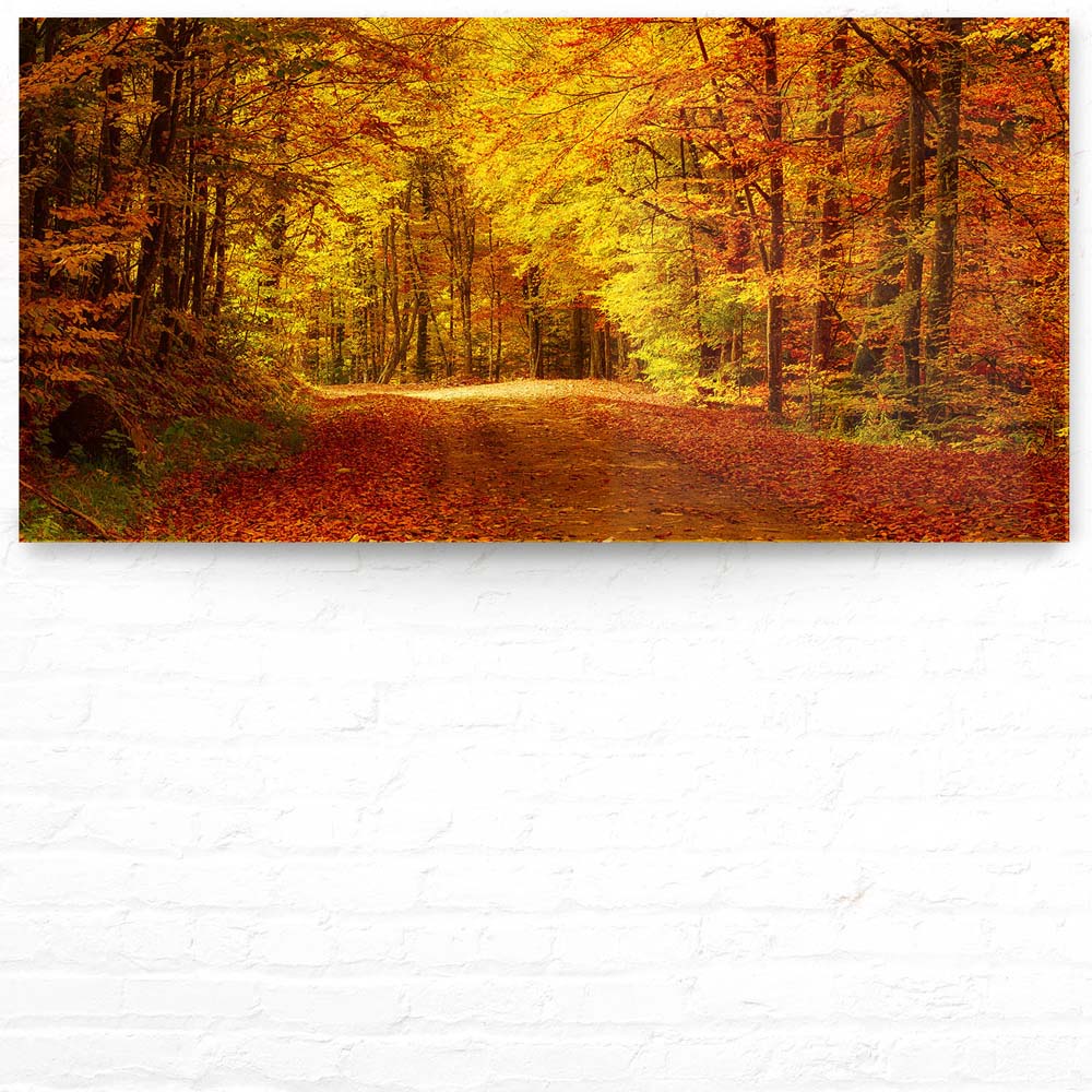 Panorama Acrylglasbild 180x90cm Wald & Bäume Goldener Waldweg