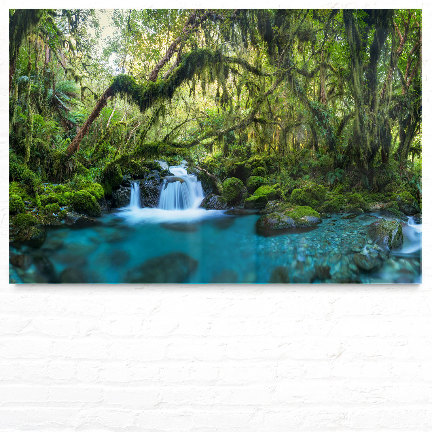 Dschungel idylischer Bachlauf als Acrylglas Bild 90x60cm
