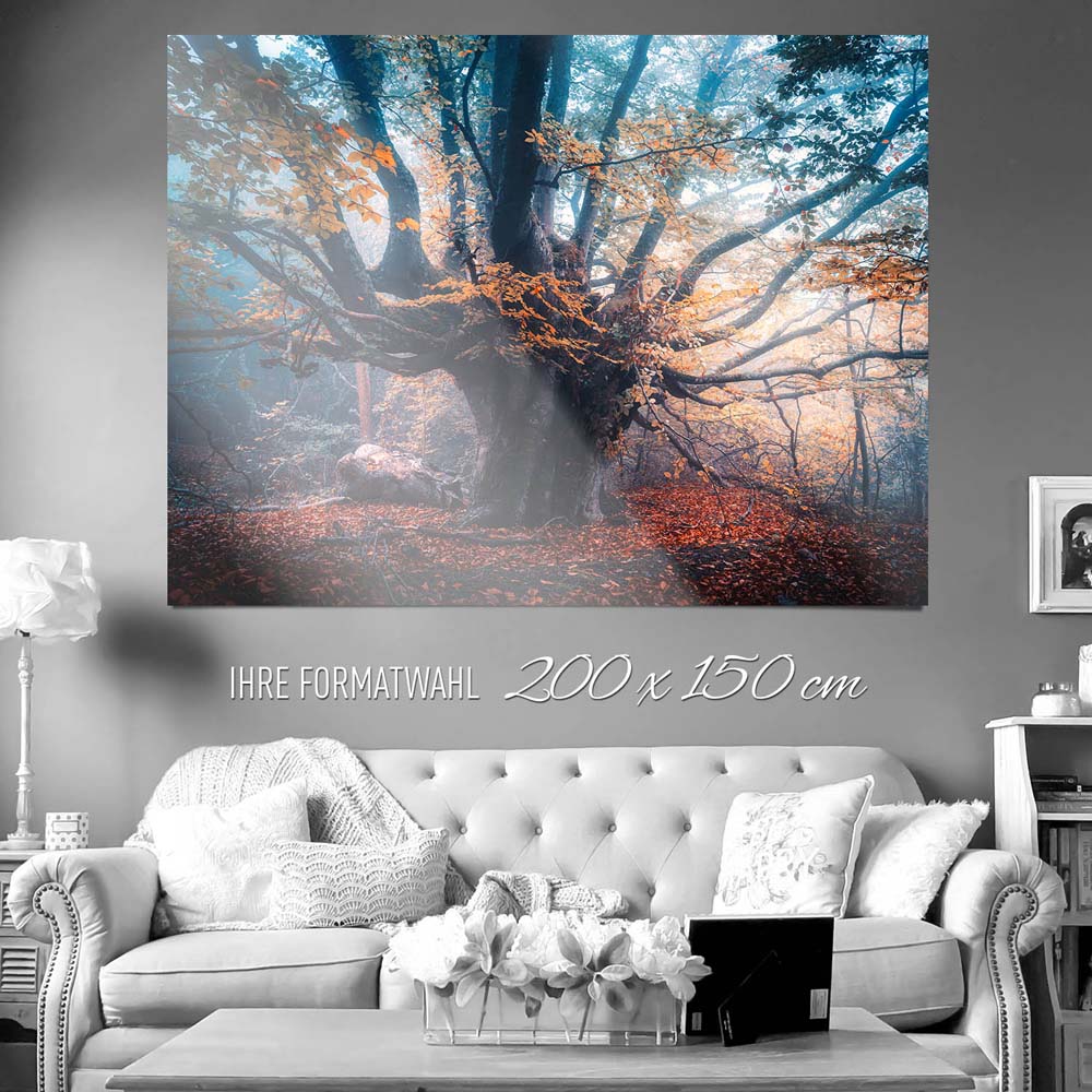 XXL WandPoster Baum Herbstbuche, 200x150cm
