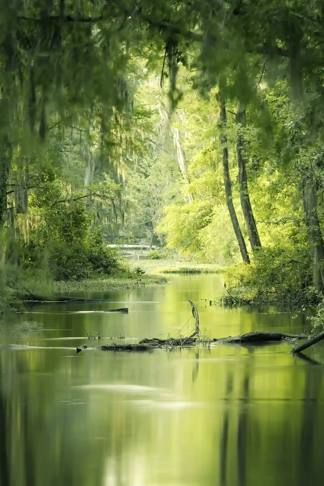 Poster 40x60cm im Hochformat, Flusslandschaft Augusta Georgia USA Flüsse & Seen