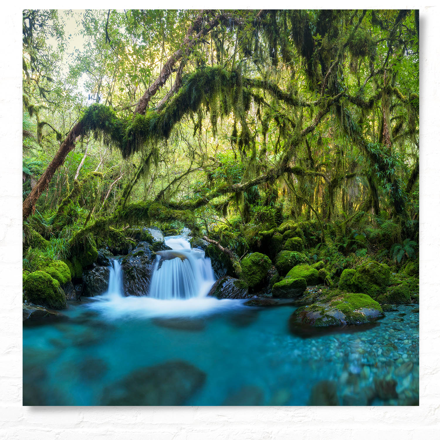 WandPoster Dschungel idylischer Bachlauf, 50x50cm