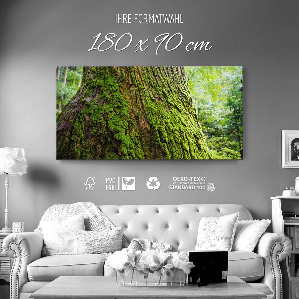 Wald & Baum Moos als Keilrahmenbild 180x90cm