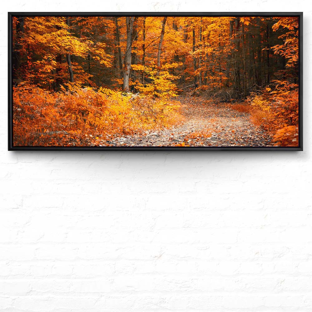 Wald & Bäume Herbst Wanderung II im schwarzen Bilderrahmen, 110x50cm