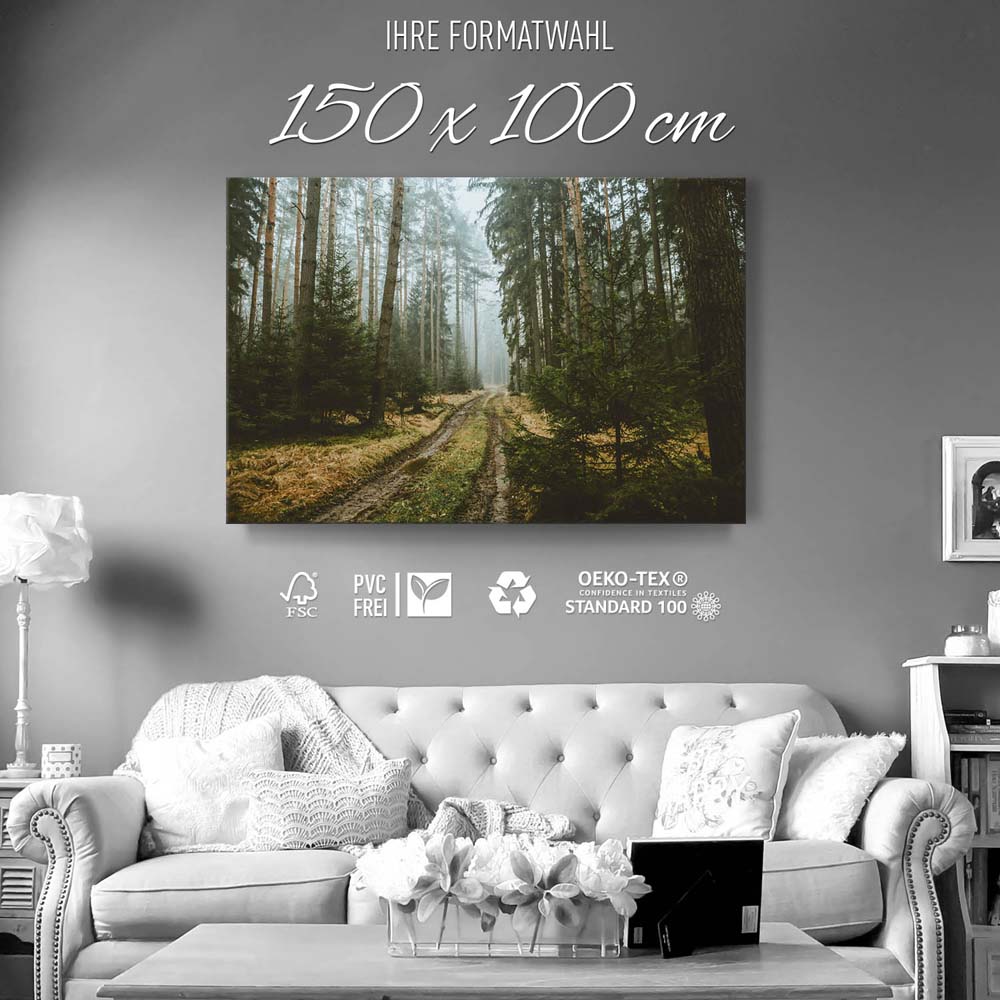 Keilrahmenbild 150x100cm, Wald Spaziergang
