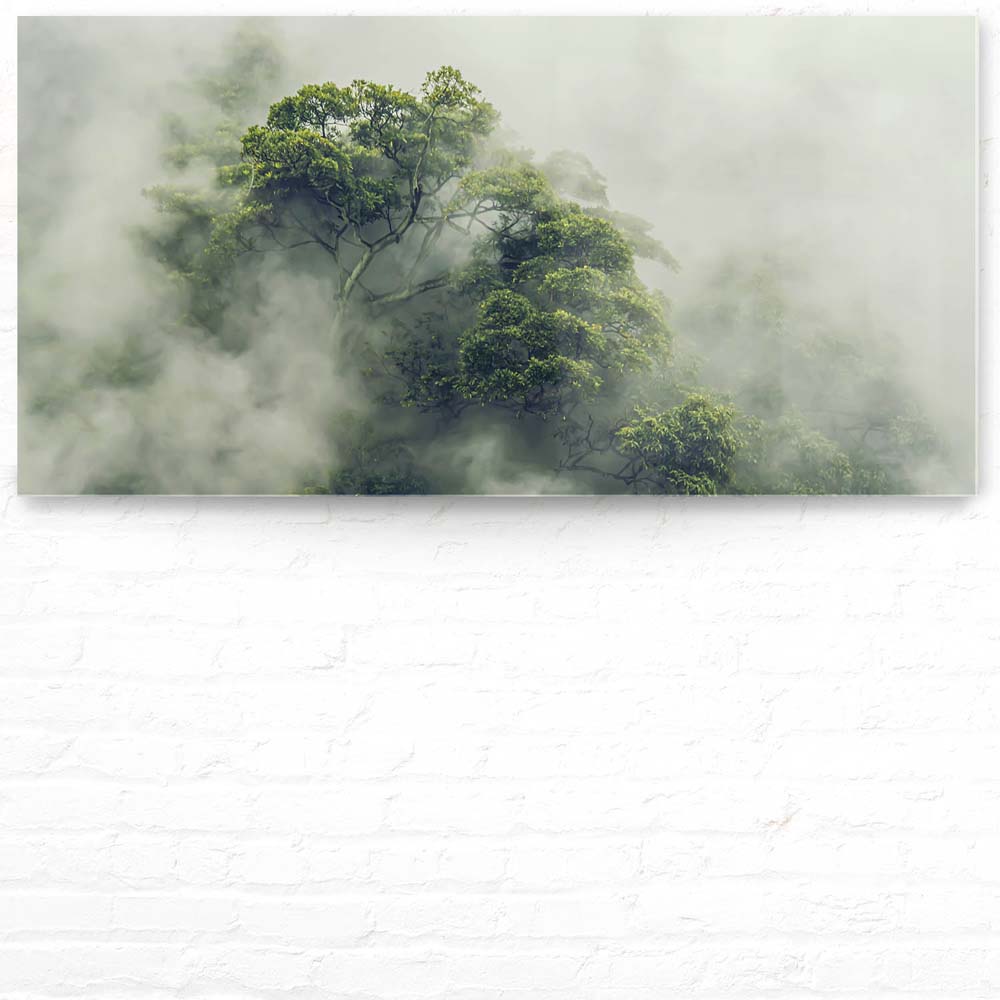 Panorama Acrylglasbild 180x90cm Regenwald Baumkrone