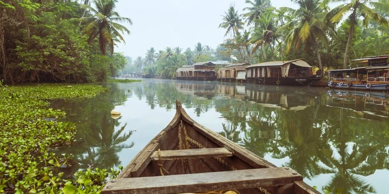 Flüsse & Seen Kumarakom Indien im schwarzen Bilderrahmen, 120x60cm