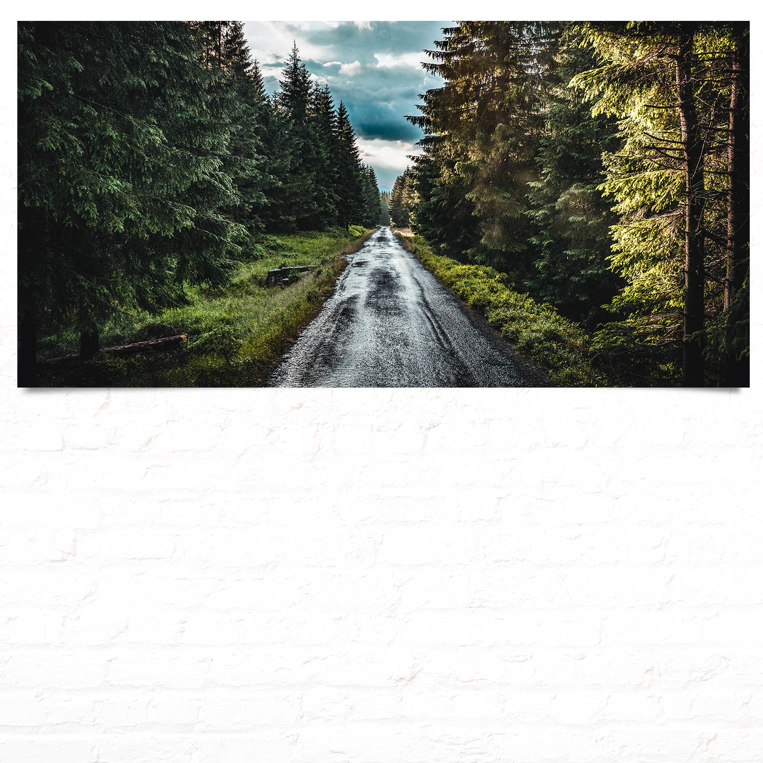 Großformat Poster Wald & Bäume Tannenpfad, 180x90cm