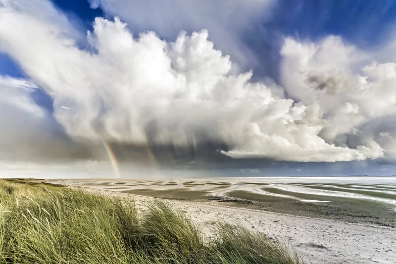 Leinwandbild Wattenmeer Nordsee, Strand & Meer 60x40cm