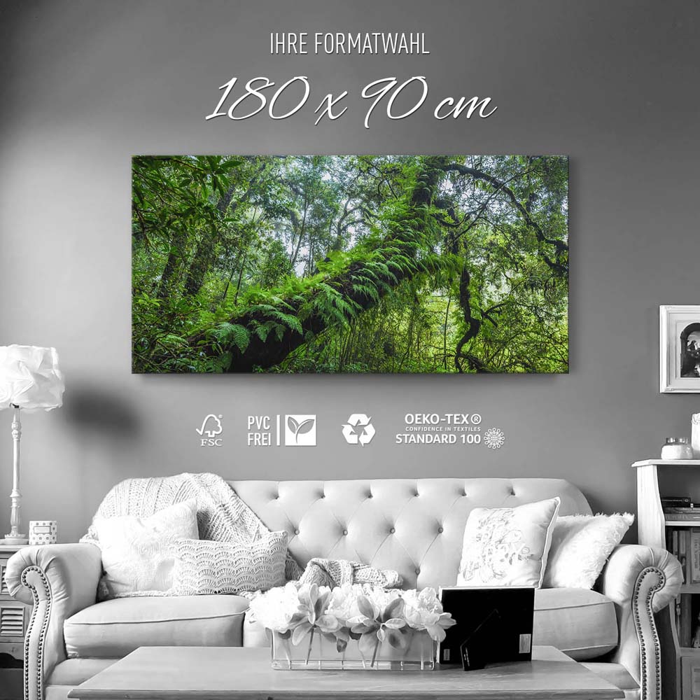 Wald & Bäume Farnimpression als Keilrahmenbild 180x90cm