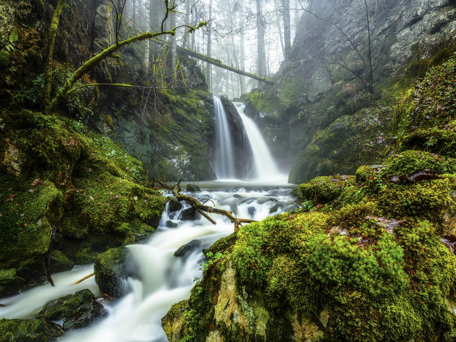 Poster Wasserfall im Schwarzwald Wald & Bäume, 100x75cm groß