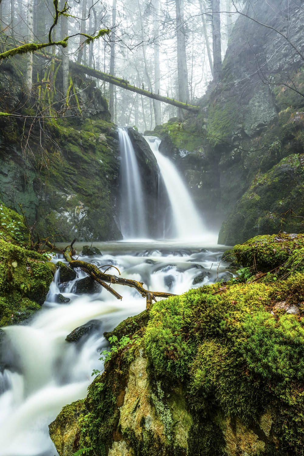 Wald & Bäume Wasserfall im Schwarzwald Poster XXL 100x150cm im Hochformat
