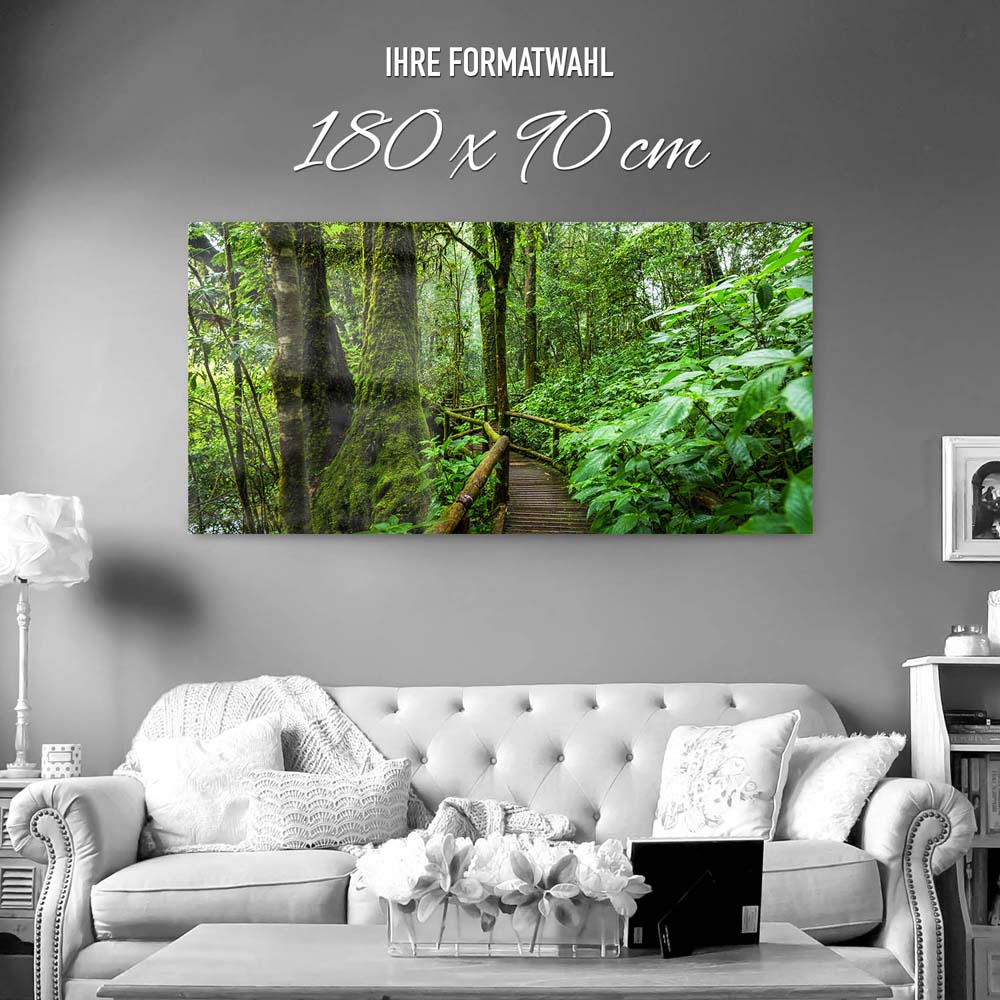 Panorama Acrylglasbild 180x90cm Regenwald Holzpfad