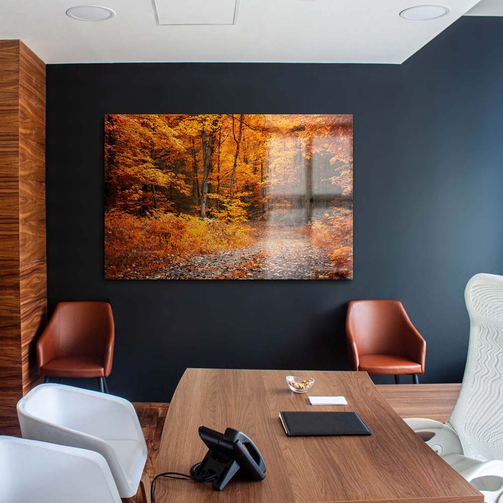 Acrylglasbild 150x50cm groß Wald & Bäume Herbst Wanderung II
