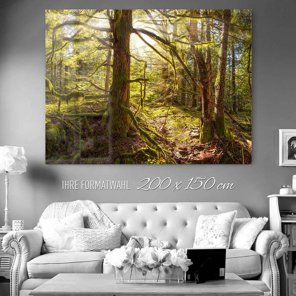 Wald Baum Sonnenhain als Acrylglasverbund Bild 200x150cm