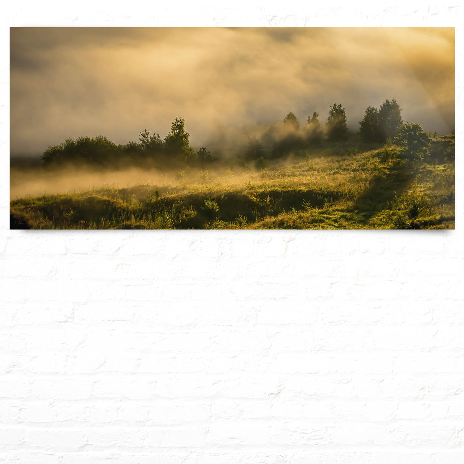 WandPoster 110x50cm Nebel am Morgen, Wald Wiese