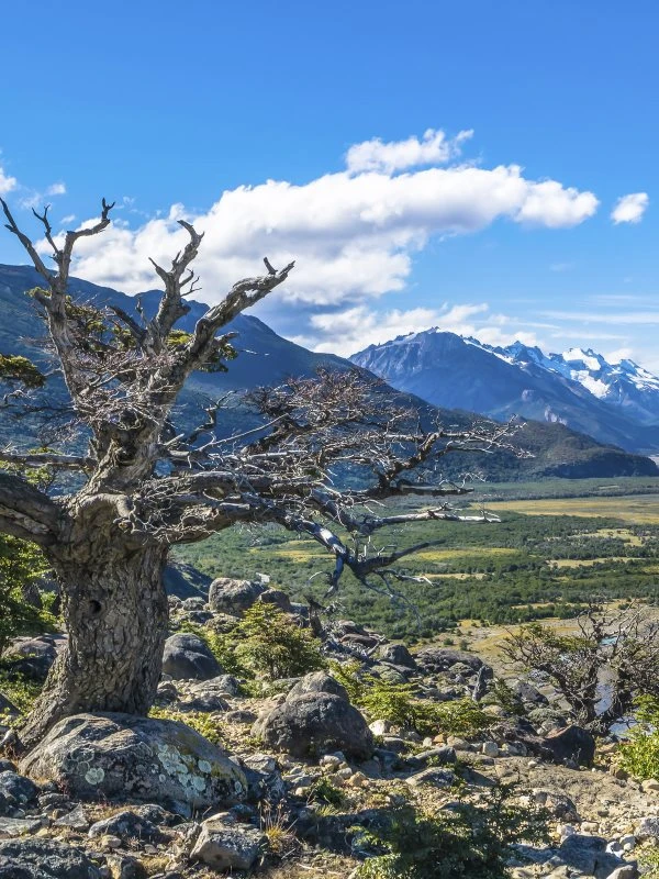 Poster 60x80cm groß, Berge & Gebirge Patagonien Flüsse