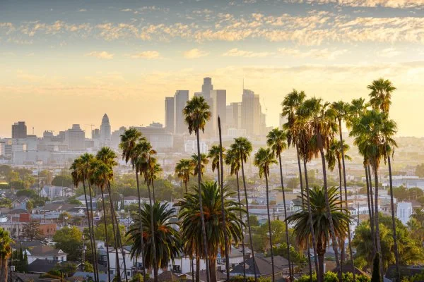 Skyline Los Angeles Palmen als Alu-Dibond Bild 120x80cm
