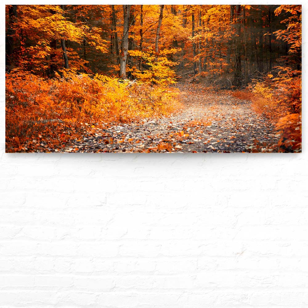 Wald & Bäume Herbst Wanderung II als Acrylglas Bild 120x60cm