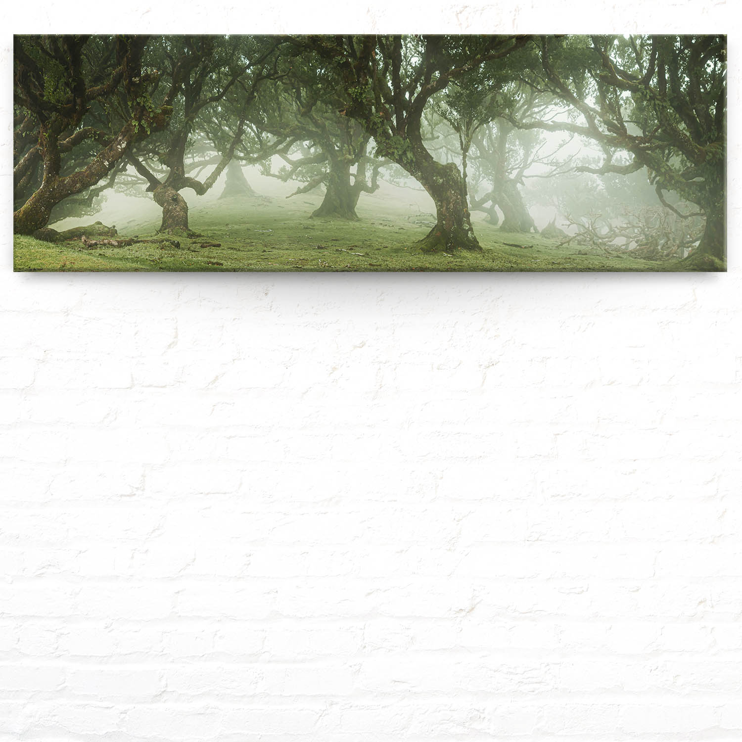 Keilrahmenbild 150x50cm, Wald & Bäume Nebel Gestalten