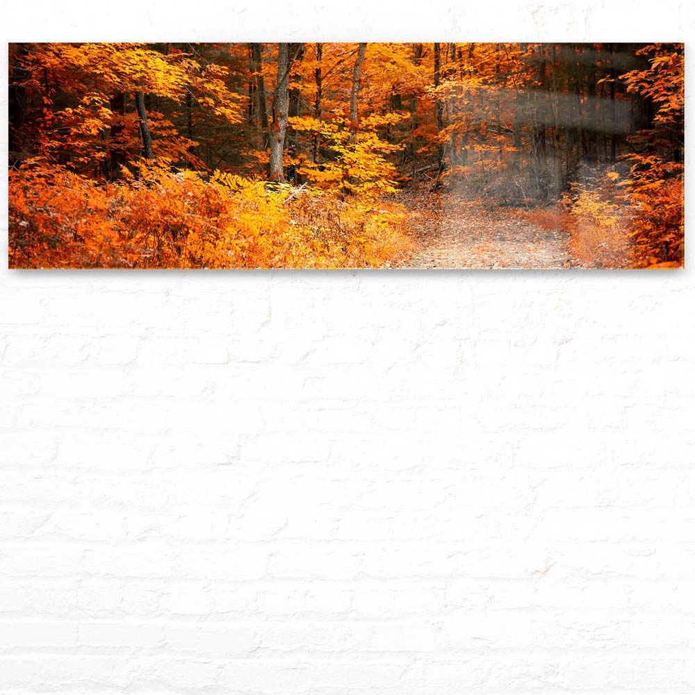 Acrylglasbild 150x50cm groß Wald & Bäume Herbst Wanderung II