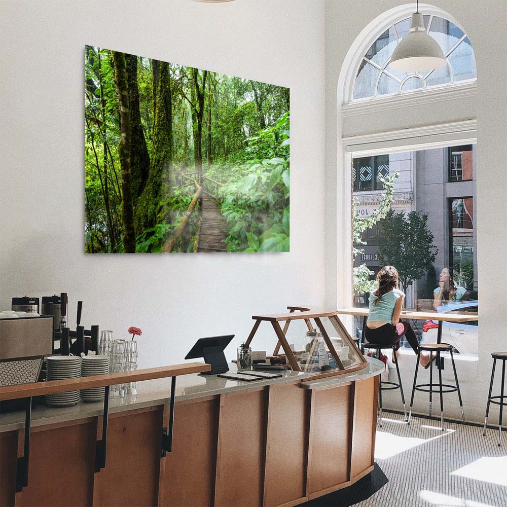 Panorama Acrylglasbild 180x90cm Regenwald Holzpfad