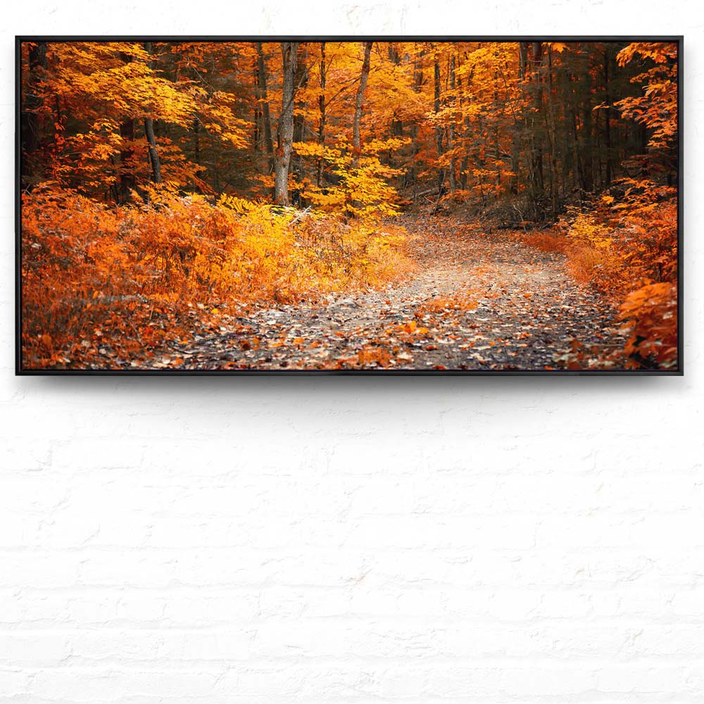 Wald & Bäume Herbst Wanderung II im schwarzen Bilderrahmen, 120x60cm
