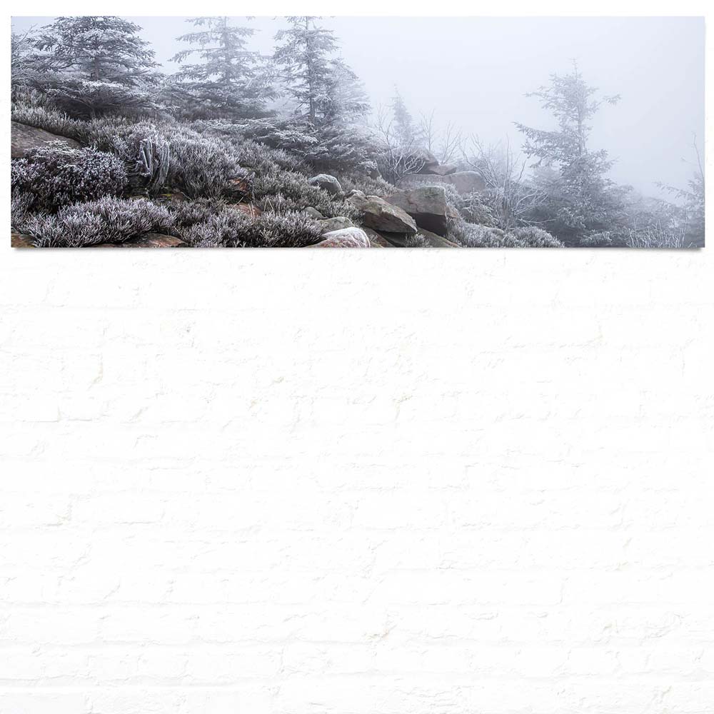 Panorama Poster 150x50cm, Wald & Bäume Schwarzwald Frost