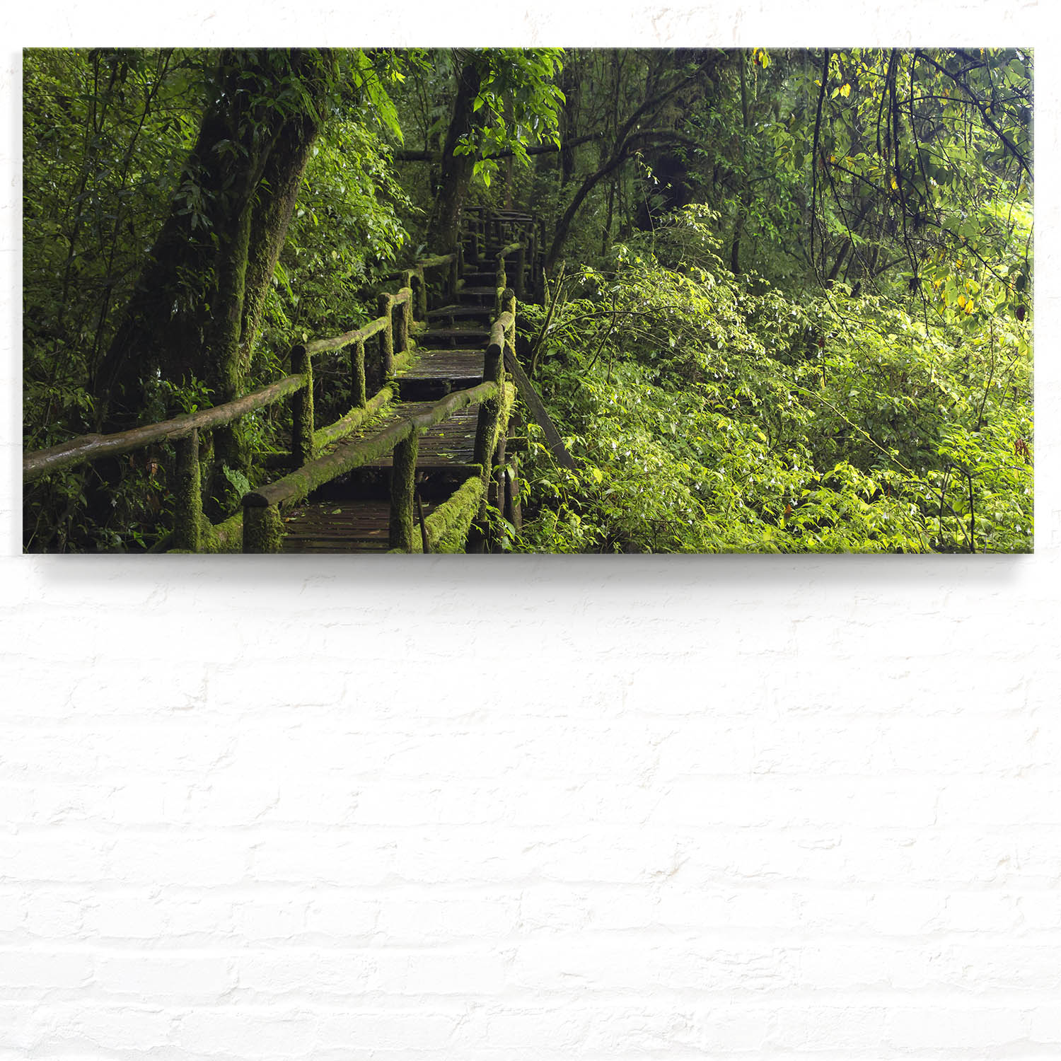 Wald & Bäume Wanderung als Keilrahmenbild 180x90cm