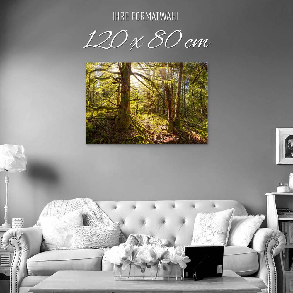 Wald Baum Sonnenhain als Alu-Dibond Bild 120x80cm