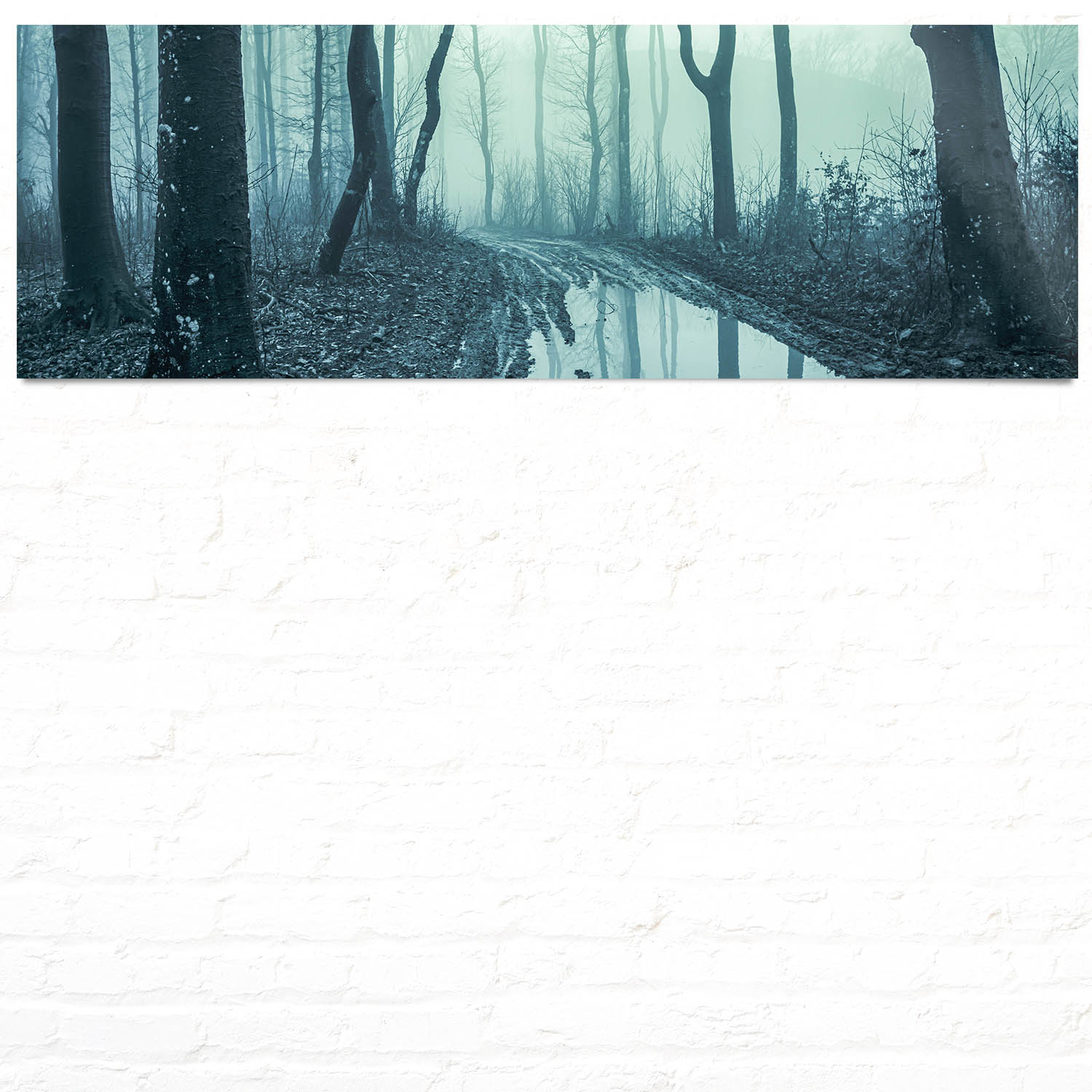 Panorama WandPoster 150x50cm , 