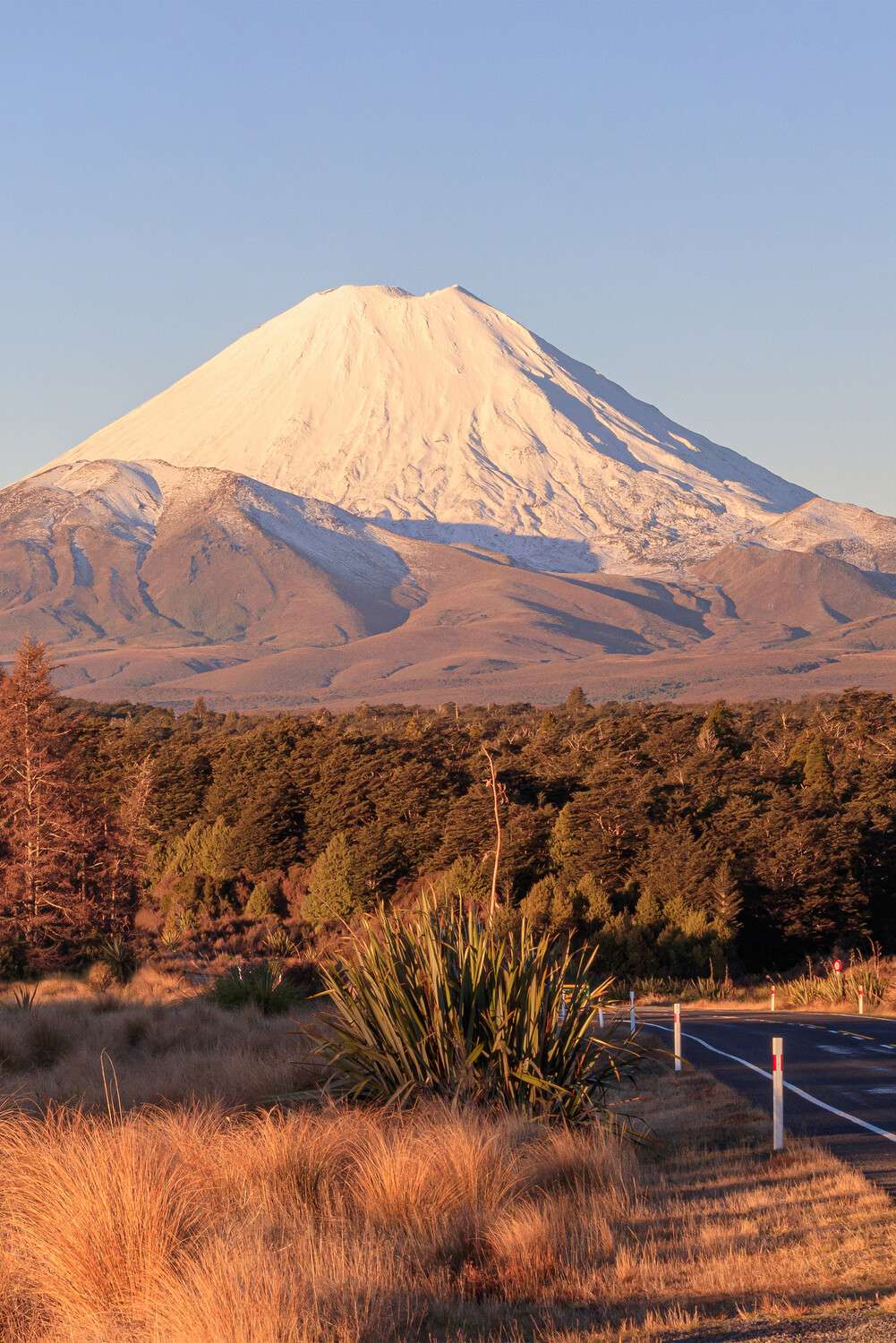 Poster 40x60cm im Hochformat, Vulkan Ngauruhoe Neuseeland Berge & Gebirge