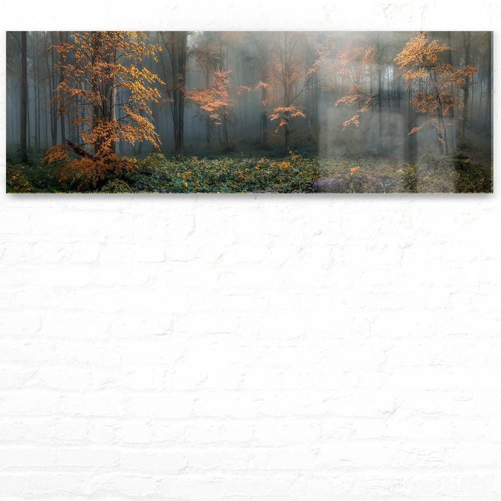 Acrylglasbild 150x50cm groß Wald Herbstidylle