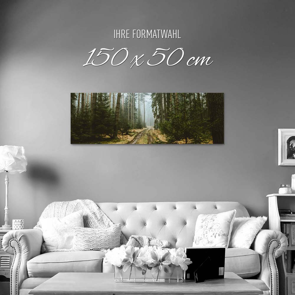 Alu-Dibond Bild 150x50cm groß Wald Spaziergang