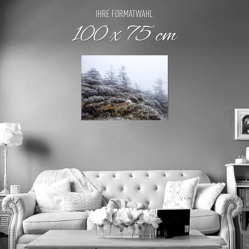 Poster Schwarzwald Frost Wald & Bäume, 100x75cm groß