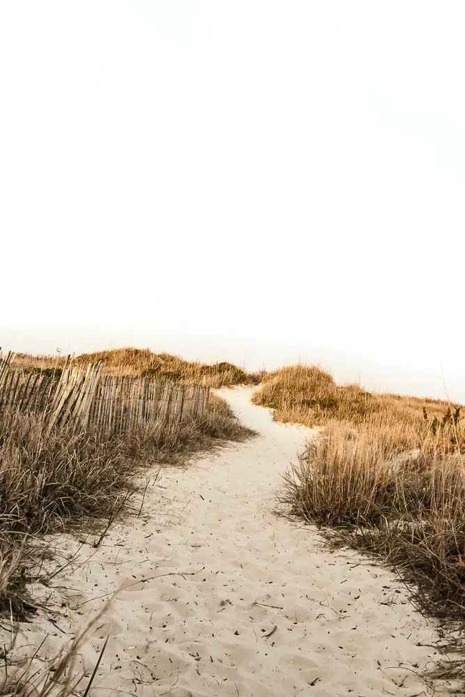 Poster 40x60cm im Hochformat, Seegras Feeling Strand & Meer