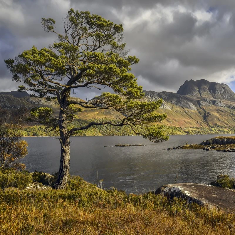 Berge & Gebirge Slioch Schottland Loch Maree als Acrylglas Bild 80x80cm