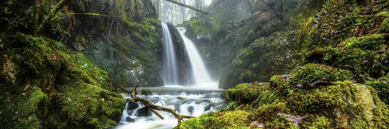 Panorama Poster 150x50cm, Wald & Bäume Wasserfall im Schwarzwald