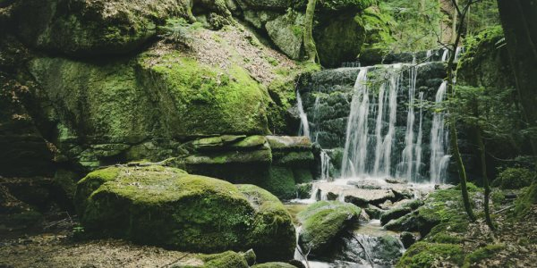 Wasserfall Wolfsschlucht Österreich als Acrylglasverbund Bild 120x60cm