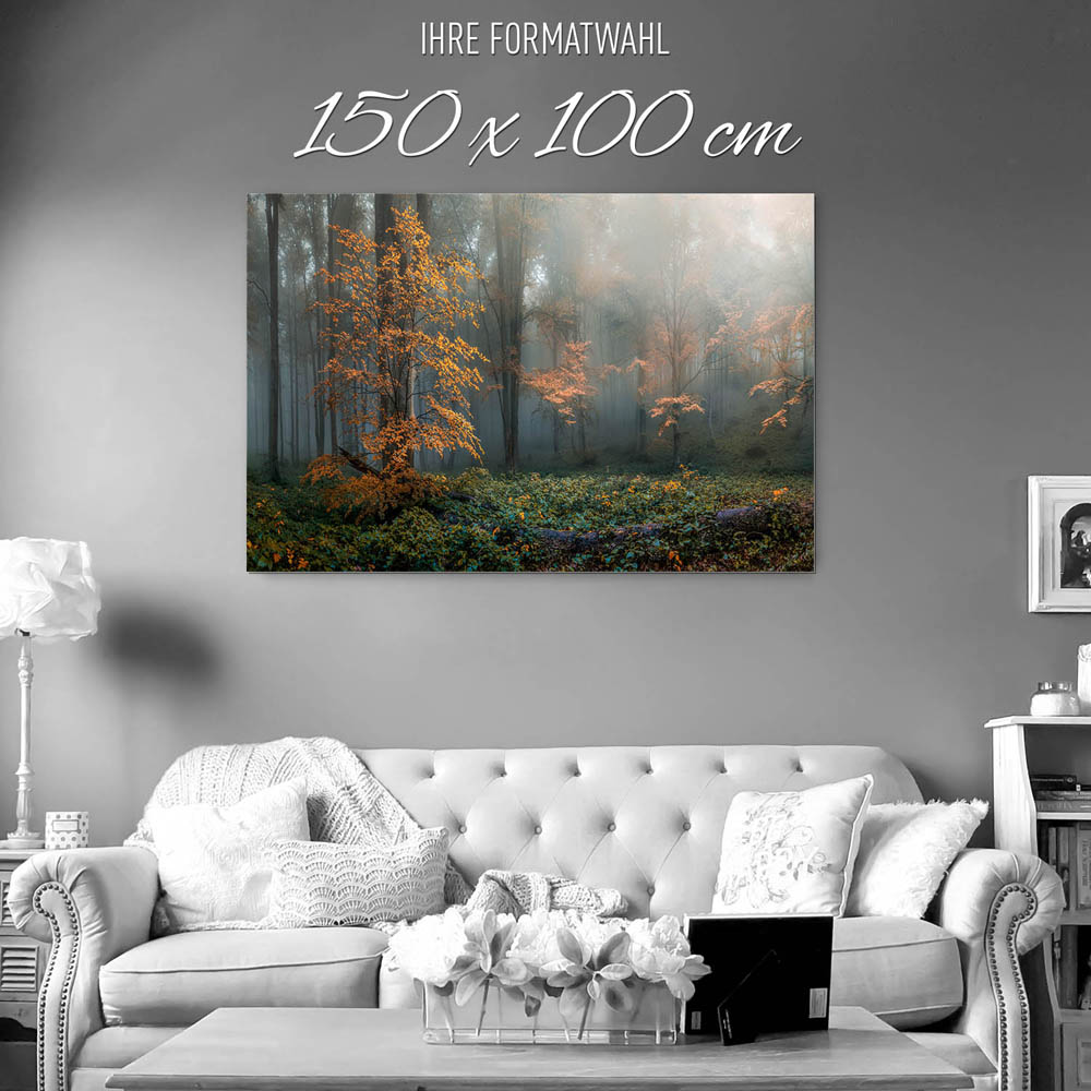 Wald Herbstidylle als XXL Alu-Dibond Bild 150x100cm