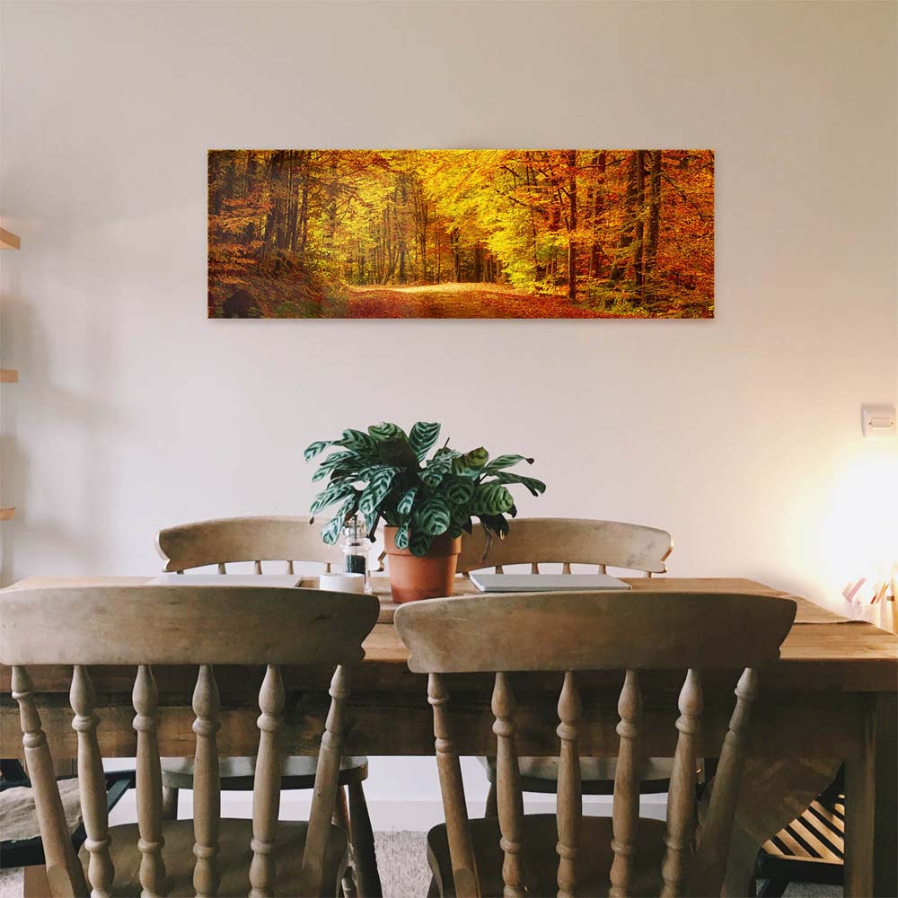 Panorama Acrylglasbild 180x90cm Wald & Bäume Goldener Waldweg