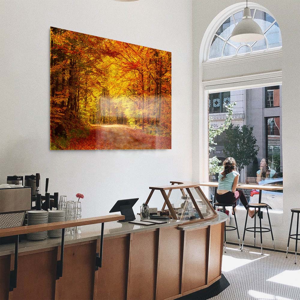 Panorama Acrylglasbild 180x90cm Wald & Bäume Goldener Waldweg