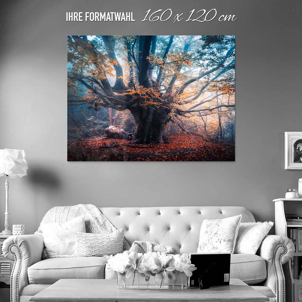 Acrylglasbild XXL, Baum Herbstbuche 160x120cm groß