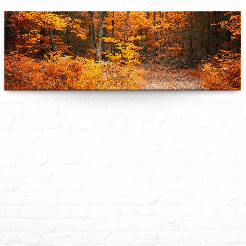 Keilrahmenbild 150x50cm, Wald & Bäume Herbst Wanderung II