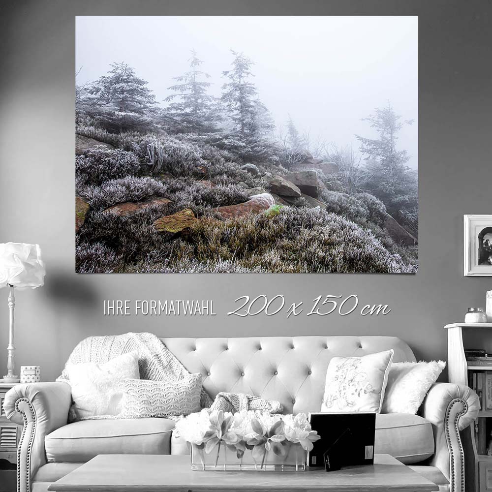 XXL Poster 200x150cm Wald & Bäume Schwarzwald Frost