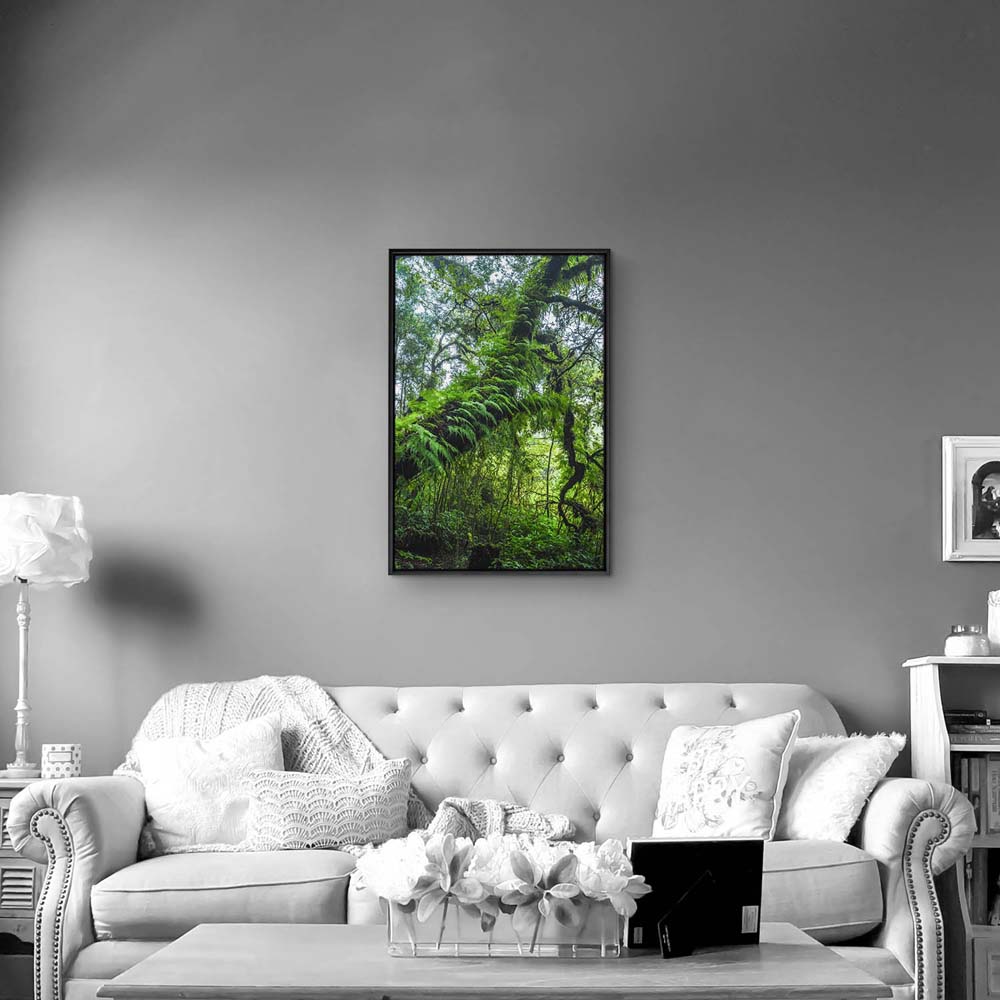 Wald & Bäume Farnimpression im Hochformat 60x90cm mit schwarzen Bilderrahmen