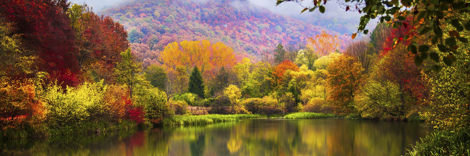 Wald & Bäume Lake Grza Serbien im weißen Bilderrahmen, 150x50cm