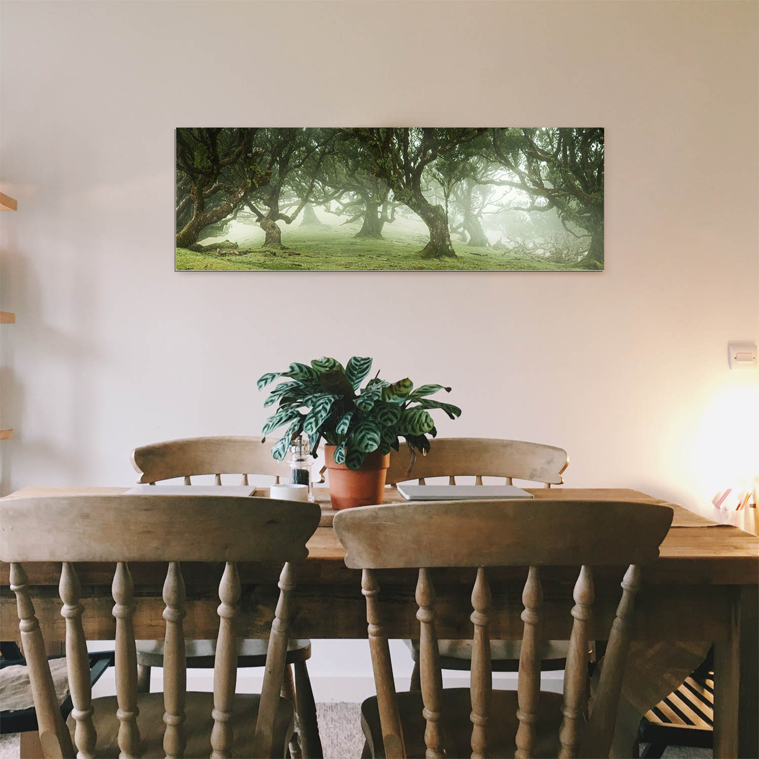 Alu-Dibond Bild 150x50cm groß Wald & Bäume Nebel Gestalten
