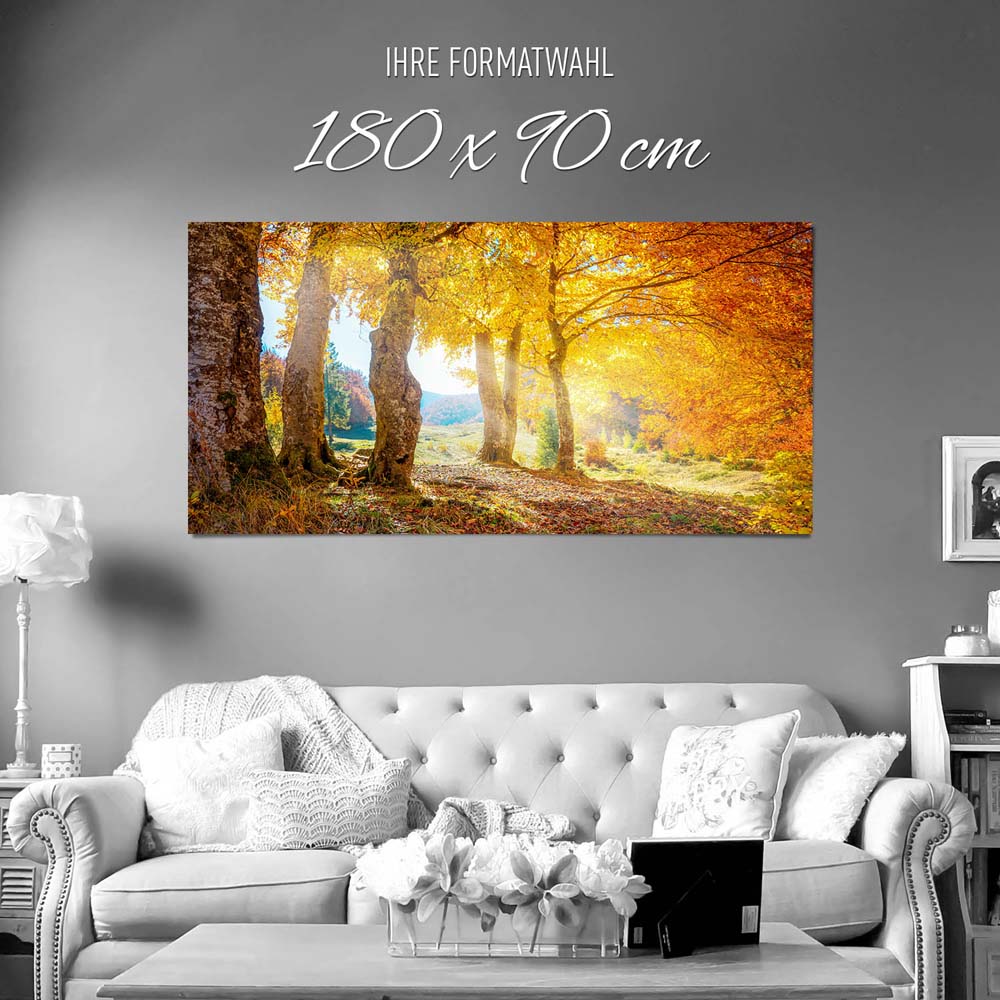 Großformat Poster Wald & Bäume Herbst Sonne, 180x90cm