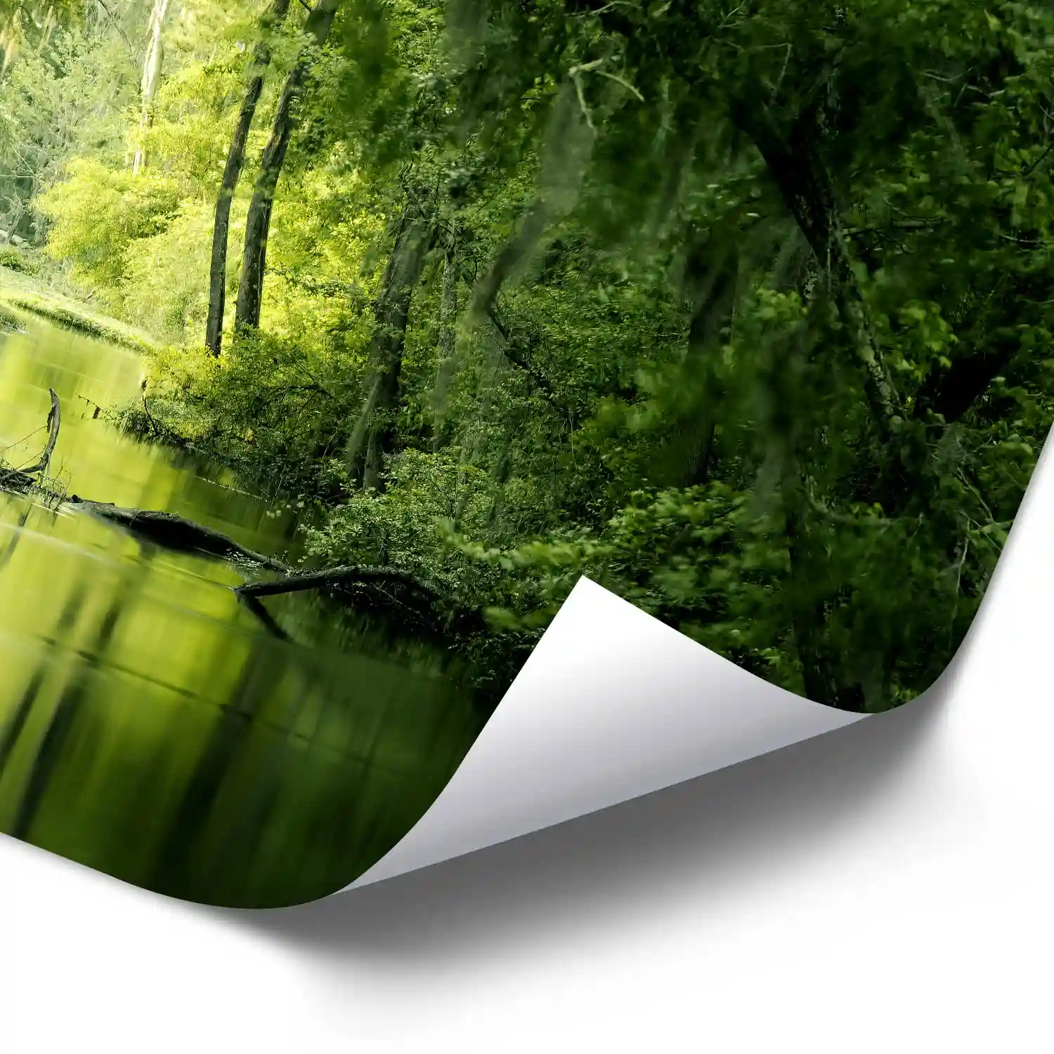 Poster 40x60cm im Hochformat, Flusslandschaft Augusta Georgia USA Flüsse & Seen
